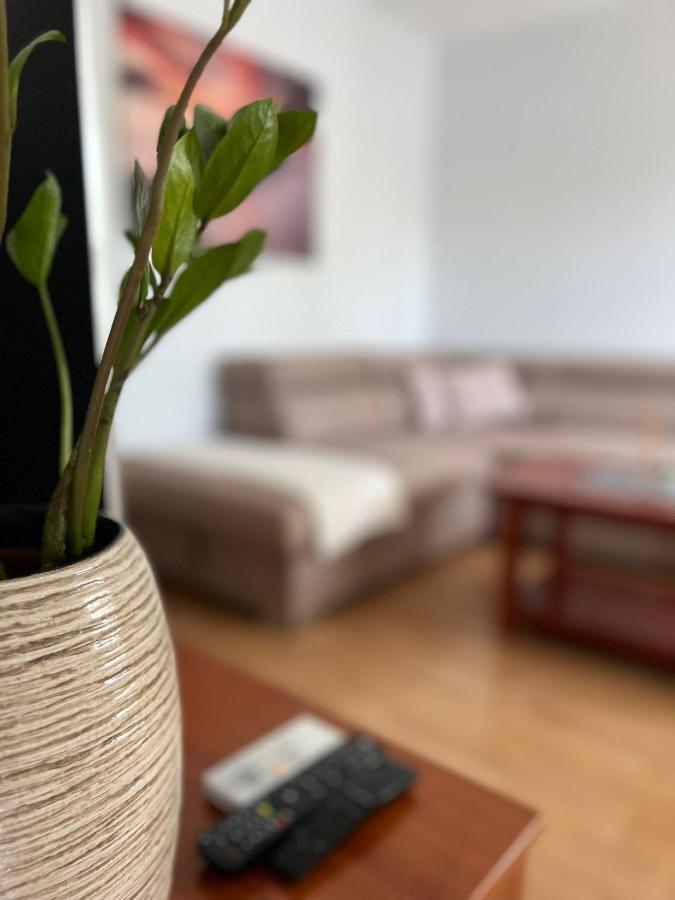רייקה Apartman Lara מראה חיצוני תמונה